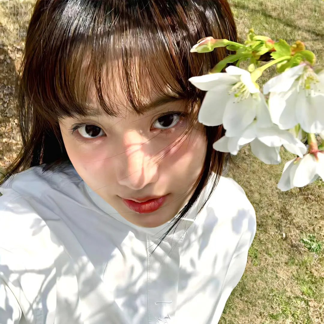混沌行走